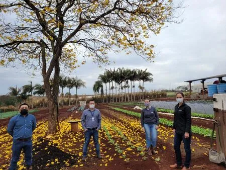 Integrado promove treinamento sobre Doença de Chagas para profissionais da Secretaria de Saúde