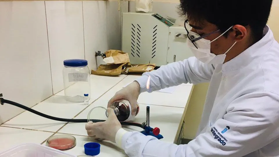 Acadêmicos de Nutrição desenvolvem jogos lúdicos para alunos da educação infantil