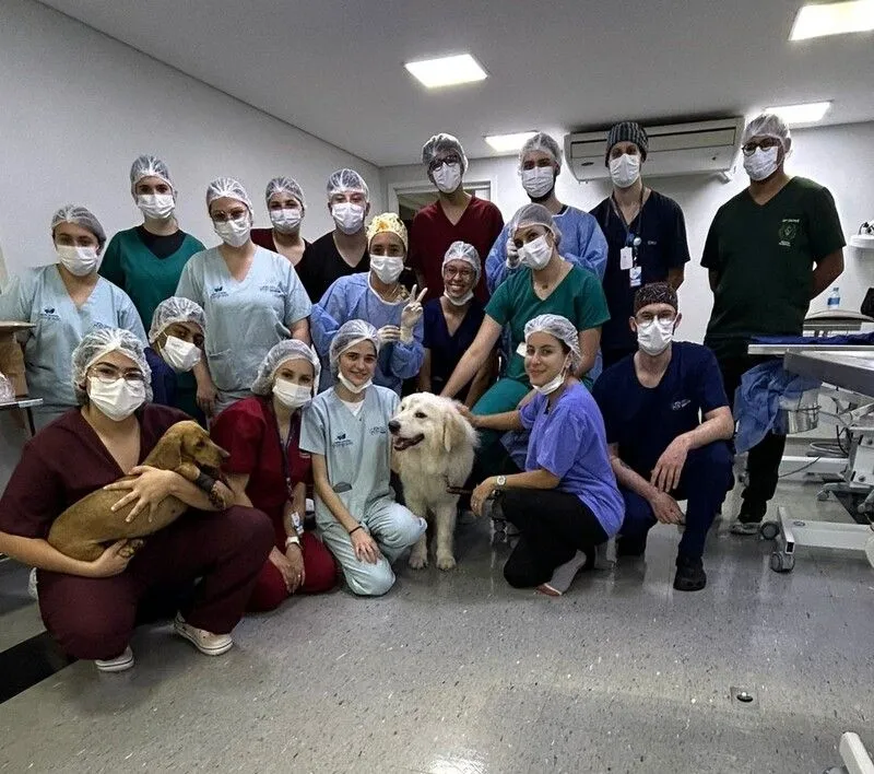 Centro Universitário Integrado castra 20 animais em campanha internacional de bem-estar animal