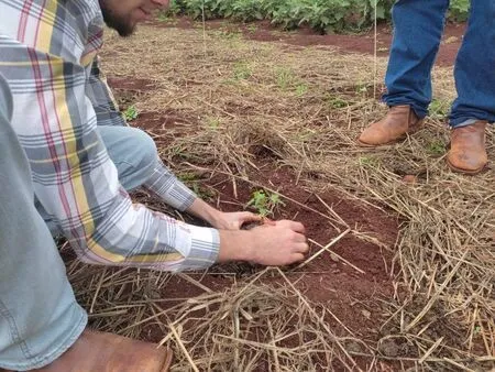 Cursos do Centro Universitário Integrado recebem nota máxima no ENADE Cursos do Centro Universitário Integrado recebem nota máxima no ENADE