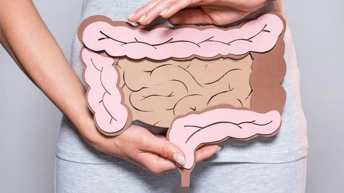 Curso de Direito do Integrado celebra 20 anos de história