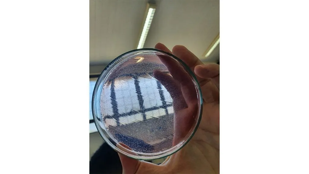 Acadêmicos de Agronomia apresentam projetos de inovação para o setor do Agronegócio Acadêmicos de Agronomia apresentam projetos de inovação para o setor do Agronegócio