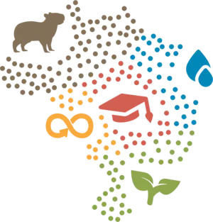 Certificado Rede Brasileira de Instituições de Ensino Superior para o Desenvolvimento Sustentável